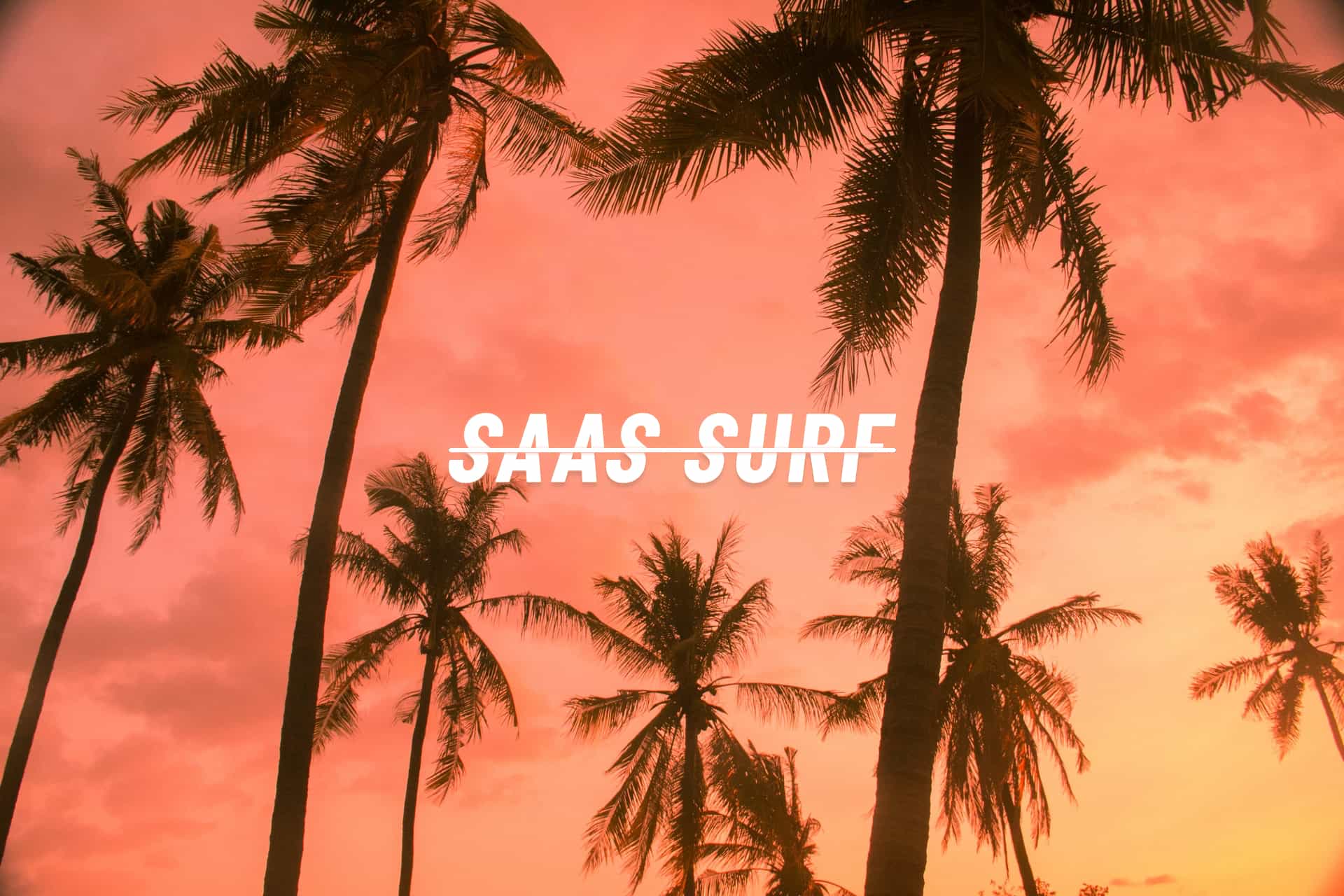 SaaS Surf logo on a palm tree and beach img
